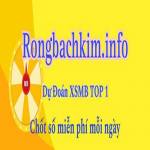 Rồng Bạch Kim Info Profile Picture