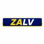 1ZALV COM Profile Picture