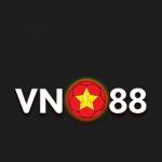 VN 88 profile picture