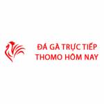 Đá Gà Trực Tiếp Thomo Hôm Nay