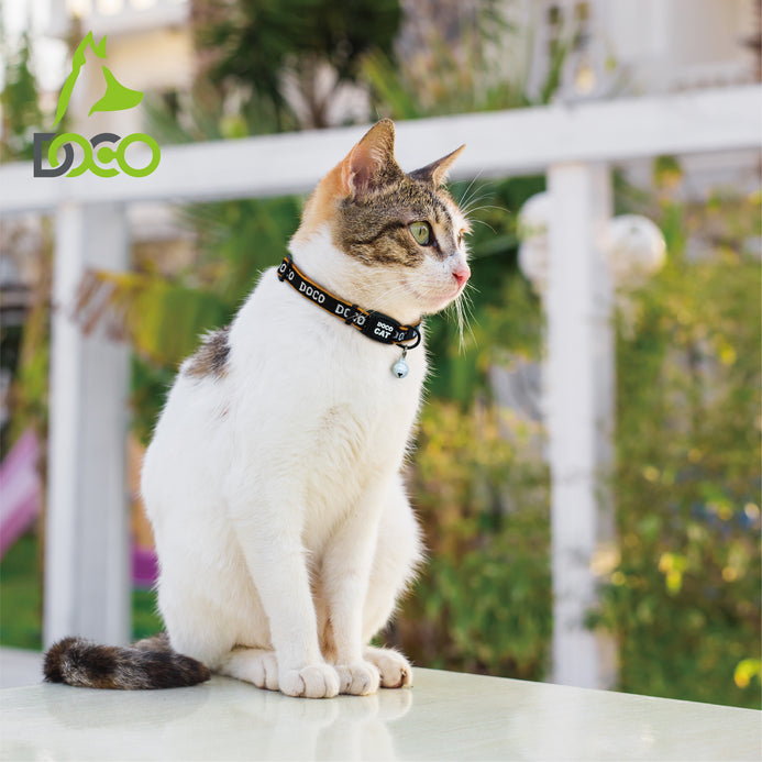 Let Your Kitty Enjoy Outdoors Safely With Easy Cat Harness – www.docopet.com