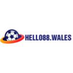 Hello88 wales profile picture