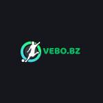 vebo bz profile picture