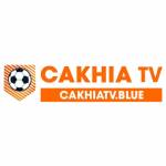 Cakhiatv Blue profile picture