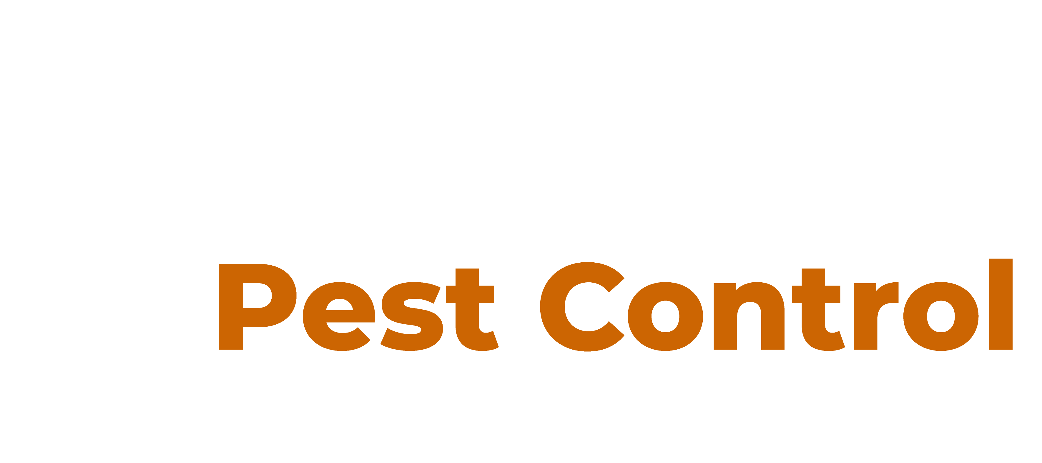 Effective Spider Control Services: Keep Your Home Safe with Beacon Pest Control