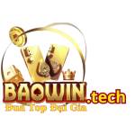 BAOWIN tech profile picture