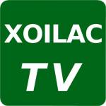 XOILAC Profile Picture