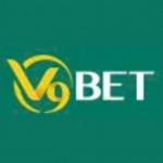 V9Bet Casino Profile Picture