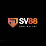 sv887 com profile picture