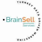 brainsellservices profile picture