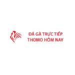 Đá Gà Trực Tiếp Thomo Hôm Nay