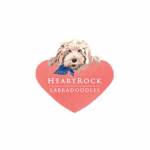 HeartRock Labradoodles