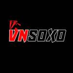 VNSOXO info Profile Picture