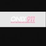 onix911 profile picture