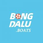 bongdaluboats boats