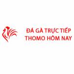 Đá Gà Trực Tiếp Thomo Hôm Nay Profile Picture