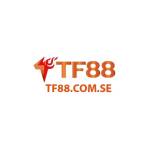 tf88comse profile picture