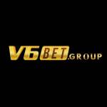 v6bet Group profile picture