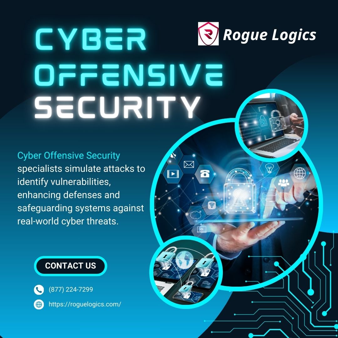 What is the Significance & Types of Cyber Offensive Security? – Rogue Logics