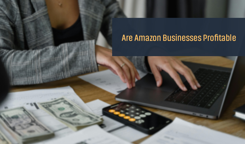 Are Amazon Businesses Profitable? A Comprehensive Analysis - Ecom Goal