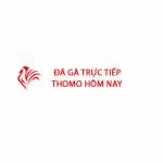 Đá Gà Trực Tiếp Thomo Hôm Nay