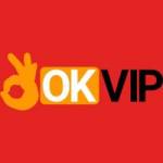 OKVIP ONE Profile Picture