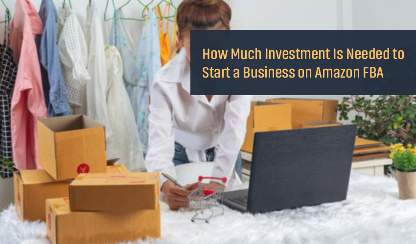 How Much Investment Is Needed to Start a Business on Amazon FBA: A Comprehensive Guide - Ecom Goal