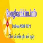 Rongbachkim Info profile picture