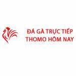 Đá Gà Trực Tiếp Thomo Hôm Nay profile picture