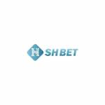 shbet8 ltd