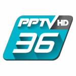 PP TV