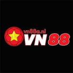 VN 88 Profile Picture