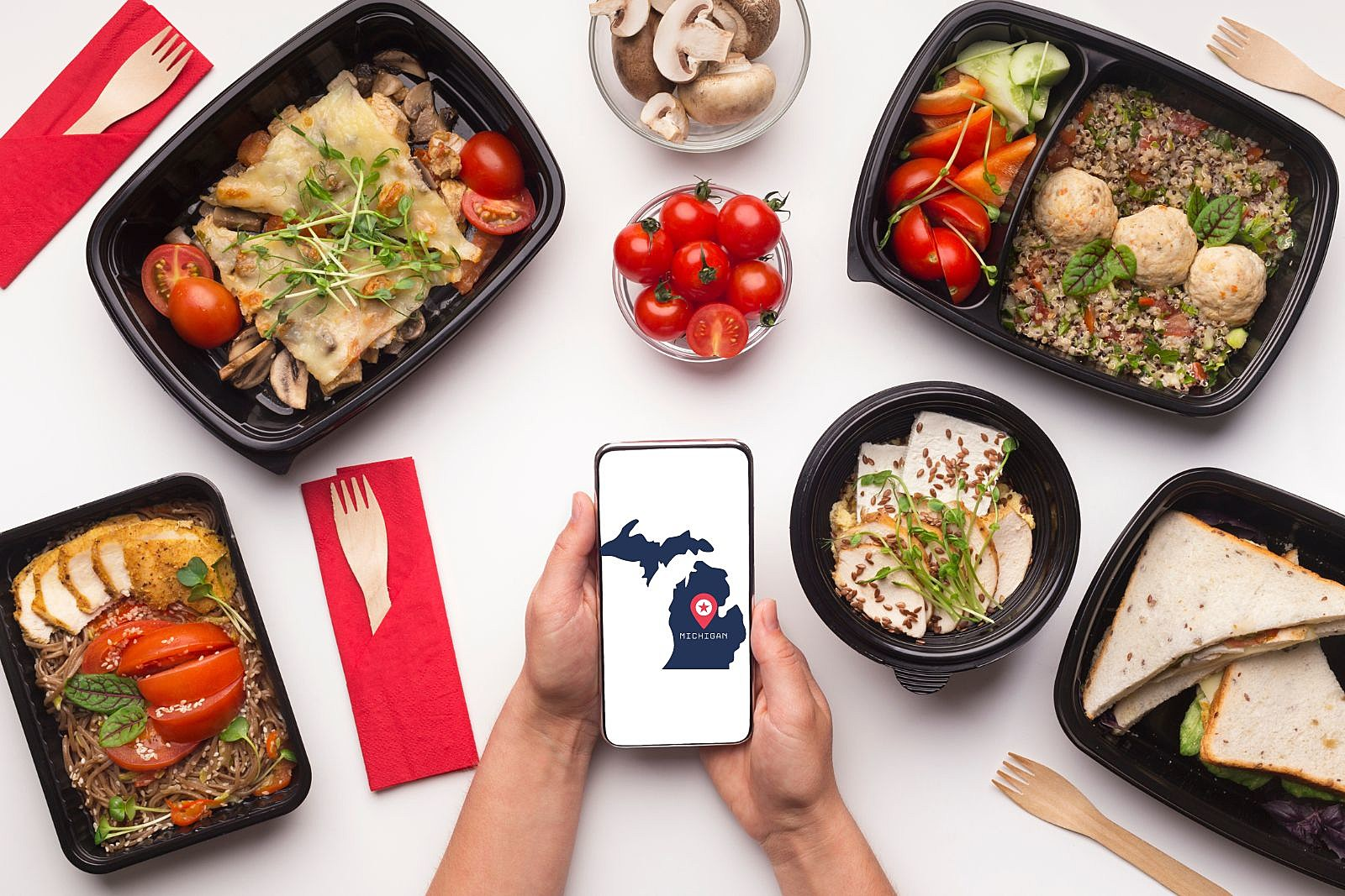 Top 10 Reasons to Choose Food Delivery in The Woodlands – Business Magazine