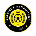 kiatisuk senamuang profile picture