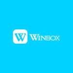 Winbox vnn profile picture