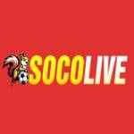 Trực tiếp socolive tv profile picture