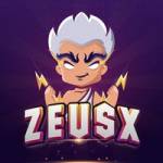 ZeusX Pte Ltd profile picture