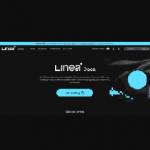 linea foundation