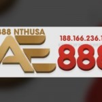 ae888 nthusa profile picture