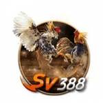 SV388 sarl Profile Picture