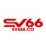 co sv666 profile picture