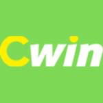 CWinn Design profile picture