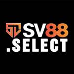 sv88select Profile Picture