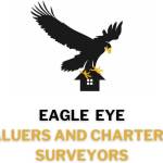 Eagle Eye Surveying Profile Picture