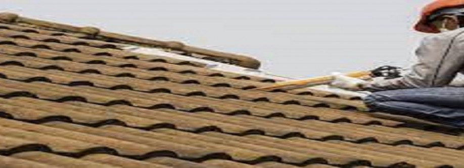 2 Men Roofer Cover Image