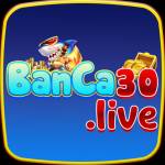 Banca30 live Profile Picture