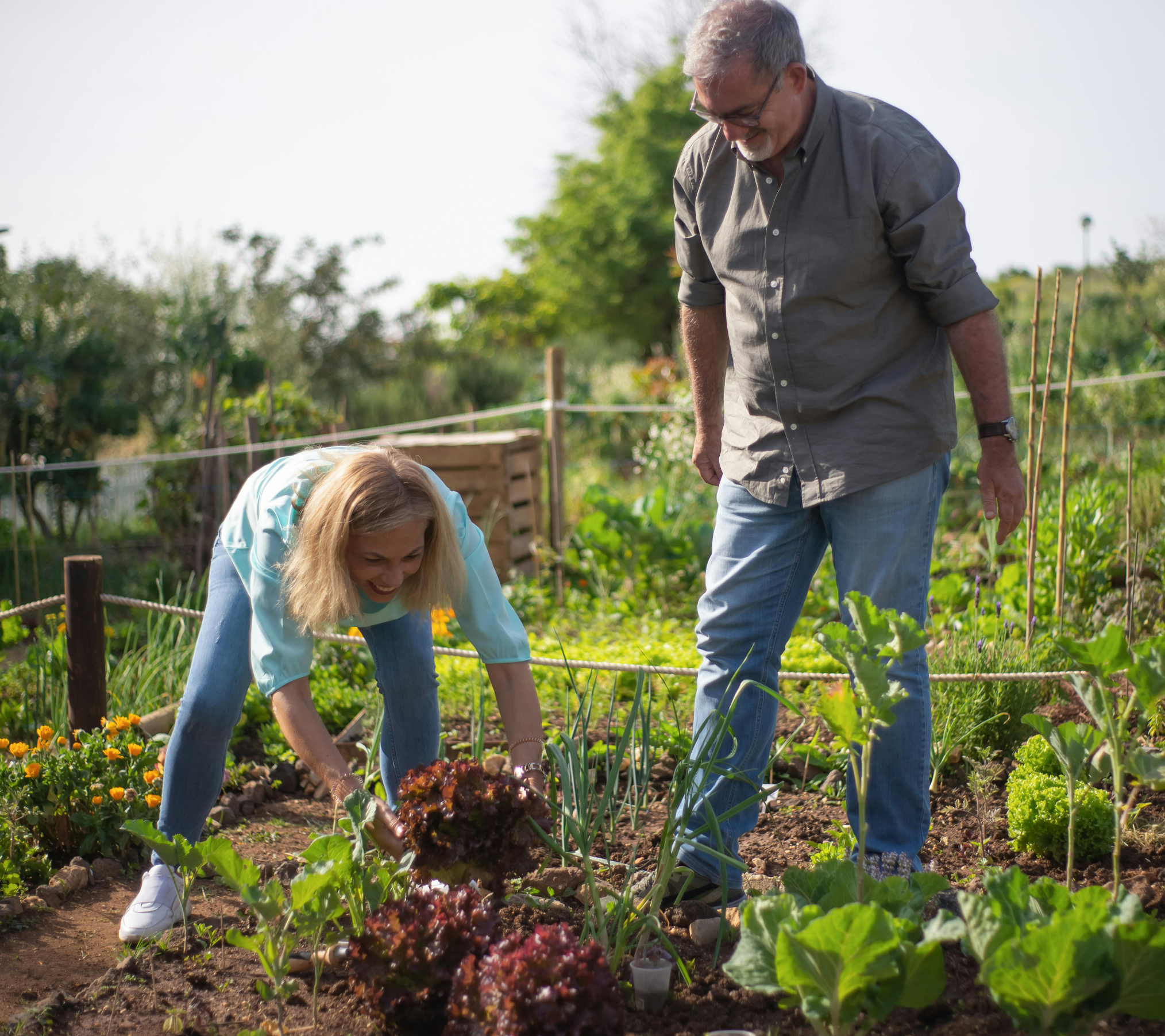 Gardener Adelaide | BP Blitz Garden Maintenance Services