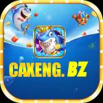 Caxeng Bz Profile Picture