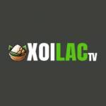 Xoilac TV profile picture