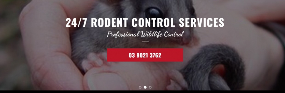 Possum Removal Melbourne Cover Image